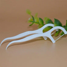 Tooth Picks Flosses,  (300 Pcs Set)